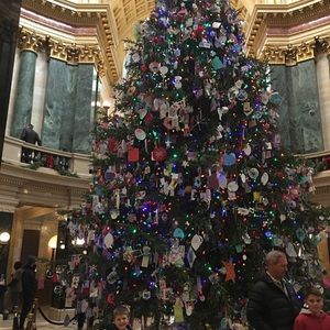 Meet your Posher, Dawn